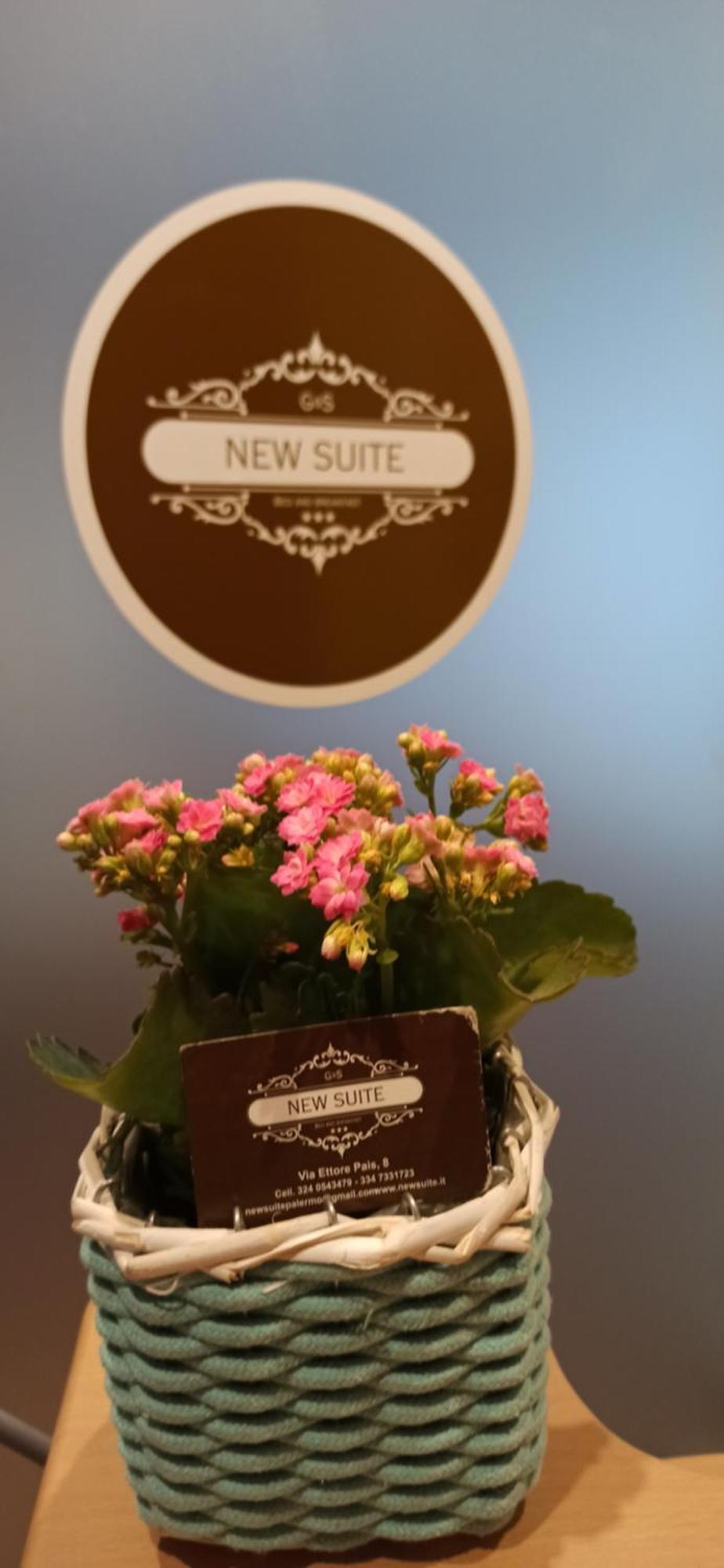 New Suite Palermo Exterior foto